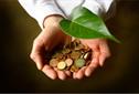 Four ways to go green and save money