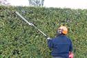 Reviewed - Handheld hedge trimmers