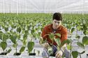Growing greener