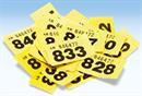 Charity lotteries