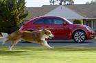 Volkswagen 'the dog strikes back' by LA Deutsch