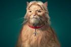 Simon Cowell, Richard Branson and Elton John appear as fat cats in Sunday Times Rich List