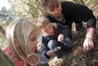 Analysis: First thoughts on the EYFS