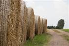 Agriculture offers ‘biggest opportunities’ for bioeconomy