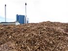 EU biomass proposals ‘ignore’ bioenergy potential