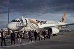 Tiger Airlines 'good to go' by McCann Erickson Melbourne