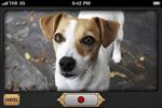 Frijj 'pet translator app' by Grey London