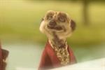 Top ten ads of the week: Meerkats work their magic for Comparethemarket.com