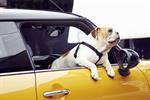 Mini to run British Bulldog ad campaign for hatchback launch