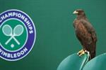 Stella Artois Wimbledon short tells tale of pigeon-hunting Rufus