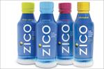 Coca-Cola hires Jessie Ware for biggest push behind Zico coconut water