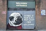 Dogs Trust commissions artists to bring 'dog is for life' slogan to the street