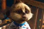 Top 10 ads of the week: Cute baby meerkat bests bolognese