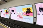 Tottenham Cat Road? Kickstarter campaign wants to replace tube ads with cat pics