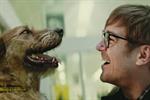 Dogs Trust celebrates quiet heroes in an increasingly web-obsessed world