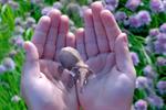 Google leads $542m funding for augmented reality start-up Magic Leap