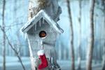 Watch: from John Lewis to Sainsbury's, the best 2015 Christmas ads so far