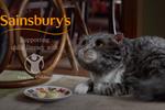 'It takes a lot for the internet not to love a cat': Sainsbury's Mog ad might 'win Christmas'