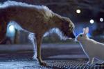 Stray dog finds street solidarity in Blue Cross TV ad
