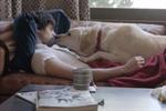 Budweiser tugs at the heartstrings in drink-driving ad featuring a four-legged friend