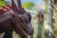 Belfast Zoo takes delivery of critically endangered dragon