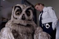 Virgin Media's owl character is the new inmate in Orange is the New Black