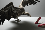DDB Harvey Nichols campaign depicts vultures