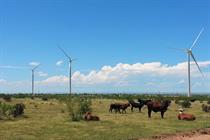 GE sues Vestas in patent dispute