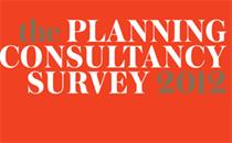 Consultancy Survey 2012: overview