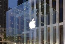 Senate takes a bite of Apple, sees terrible tax truth