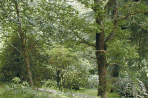 FERA PLANT PEST FACTSHEET: Phytophthora ramorum