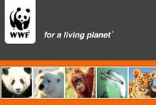 Lucy Parratt, trusts and major individual support executive, WWF-UK