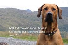 Reduce board size and enforce code of conduct, review tells RSPCA