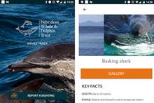Charity's app allows people to report cetacean sightings