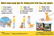 Dogs Trust makes the most of #dogsatpollingstations