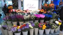 Royal FloraHolland says British will buy more of its flowers in 'turbulent times'