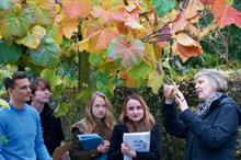 Apprenticeships - Trailblazers emerge