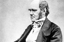 Darwin and the humble-bees