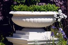 Buyers' guide - Pots and containers