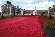The 5000 Poppies Project - VIDEO