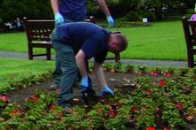 Green Space Management - Best practice tendering - part one