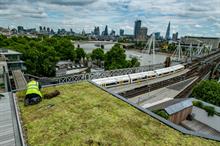 Why green roof pioneers are looking to metro mayors to pick up the baton