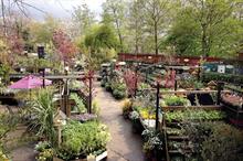 Best Planteria - Winner: Camden Garden Centre