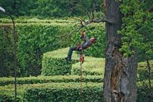 Market report - Chainsaws