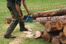 Buyers' guide - Chainsaws