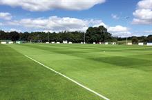 Pitch renovation and preparation