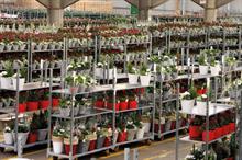 The Charles Notcutt Retail Plant Supplier of the year - Winner: Farplants
