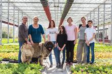Case study: Nursery Patrick Morgue, based in Drôme, France