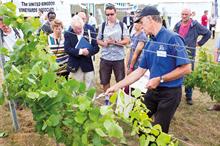 What's in store at Fruit Focus 2016?