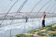 Future shape of an ideal seasonal worker scheme